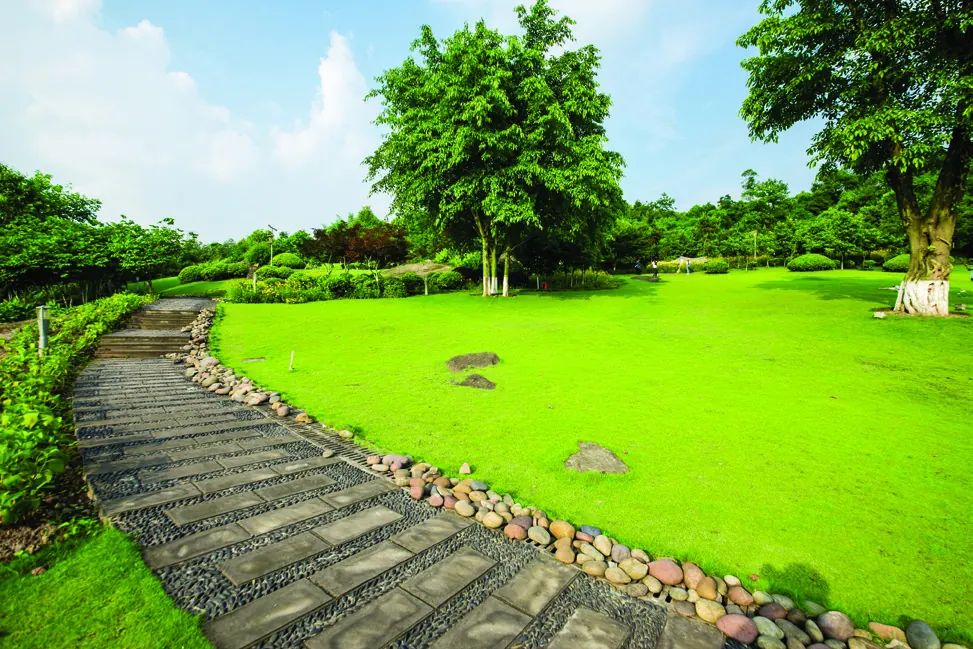 Moraj Silent Valley open lawn